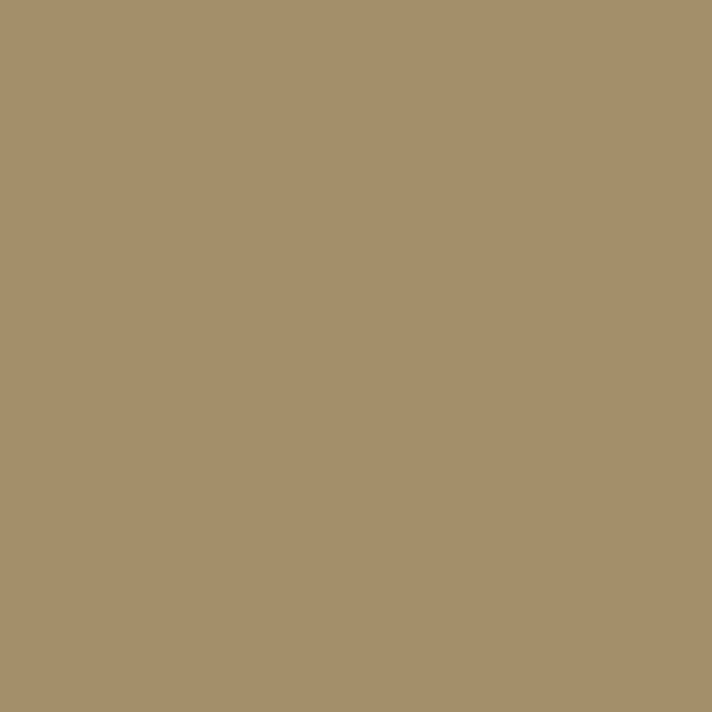 A38F6A_1024x.png?v=1750203971