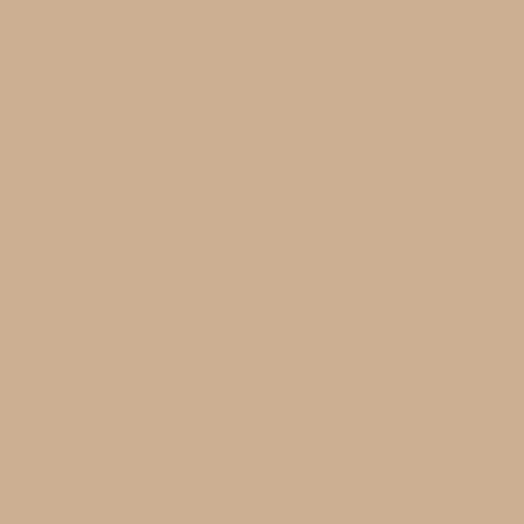 ビンテージ　タンタン　tan tan CCAF92_1024x.png?v=1750204037